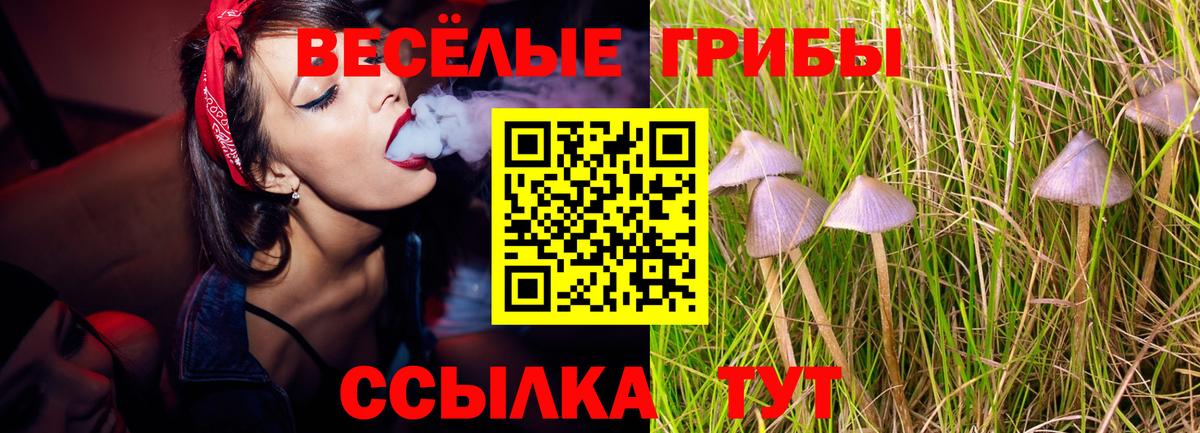 Галлюциногенные грибы GOLDEN TEACHER Добрянка
