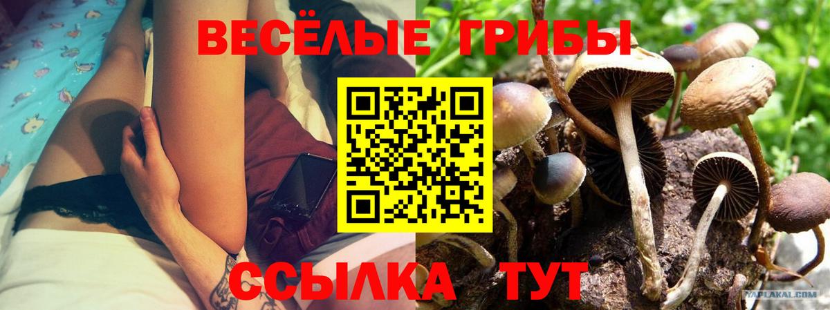 как найти наркотики  Галлюциногенные грибы прущие грибы  Вход с VPN  Добрянка 
